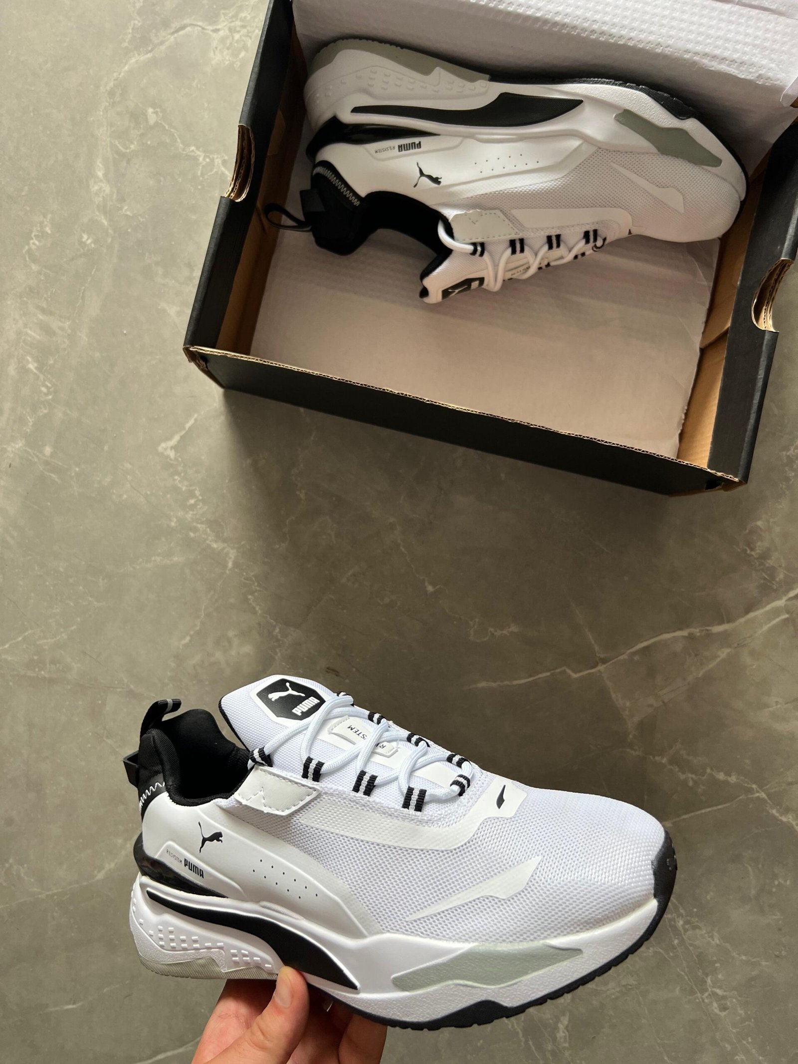 WhatsApp Image 2024-08-19 at 2.47.54 PM