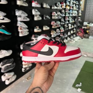 Nike SB Dunk First Copy Shoes