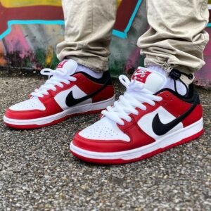 Nike SB Dunk First Copy Shoes