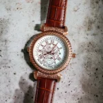 Buy Classy Patek philippe Watch For Men (TW454)