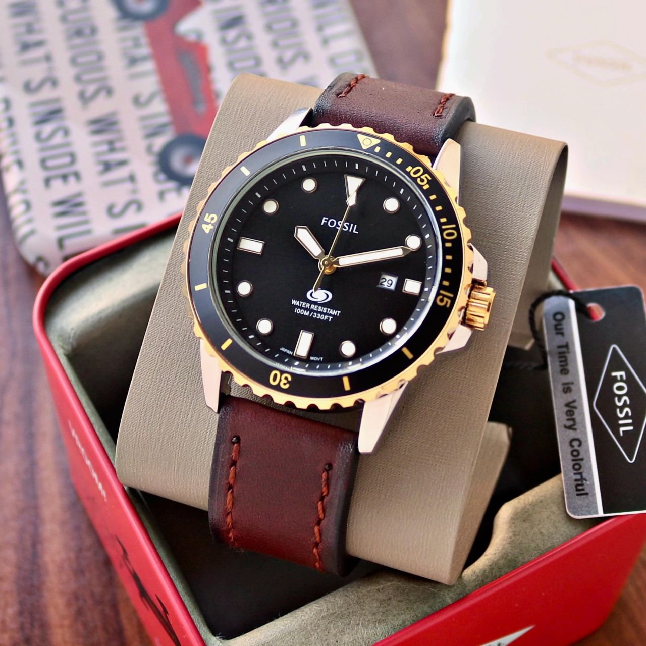 Fossil Dive Collection Fossil Dive Collection