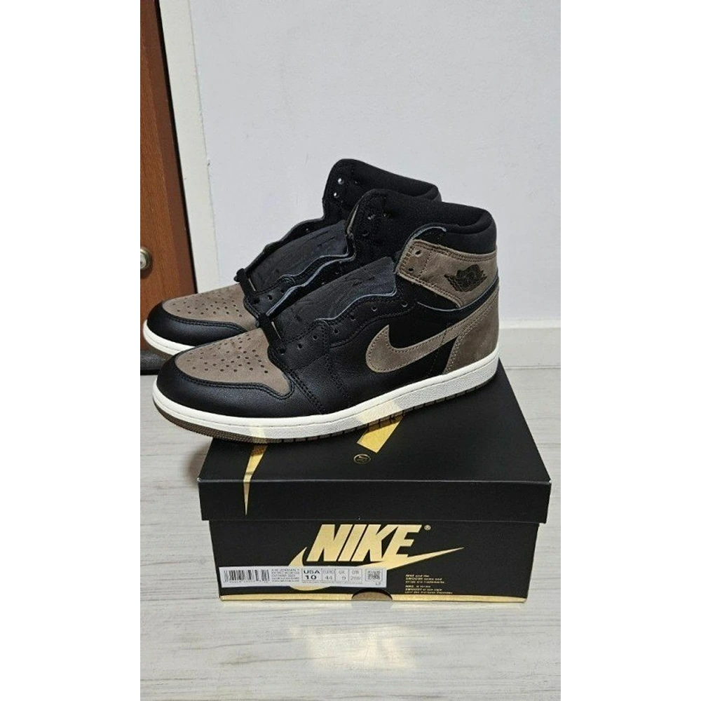 8-Nike-Air-Jordan-Retro-1-PALOMINO-3499-1.webp