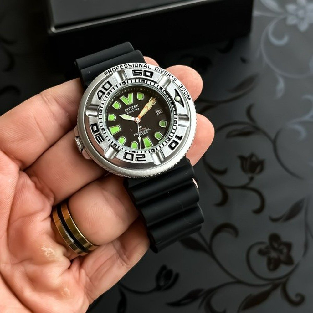 Citizen-Pro-Master-Black-Silver.jpg