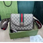 Luxurious Gucci Handbag For Women (CSO2310)