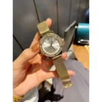 Trendy Michael Kors Watch For Women (BRH2133)