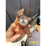 Trendy Michael Kors Watch For Women (BRH2134)