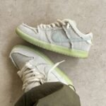 First Copy Nik_e SB Dunk Low Mummy (Glow in Dark) Men Shoes