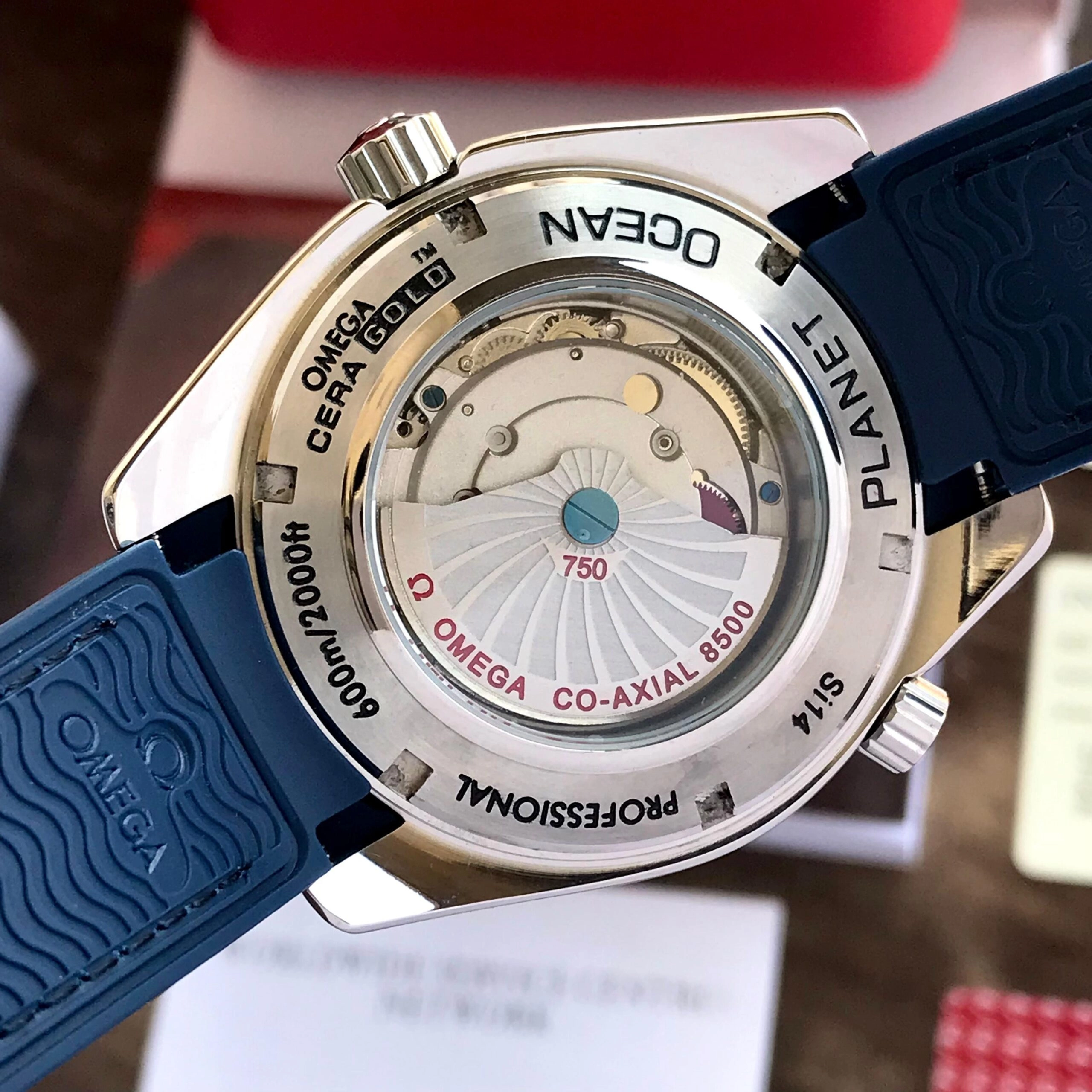 IMG-20241001-WA0028-scaled