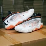 Nike Air Jordan Why Not