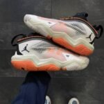Nike Air Jordan Why Not