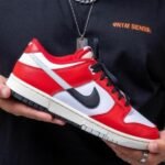 Nike SB Dunk Chicago Low Split