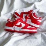 Nike SB Dunk Gym Red