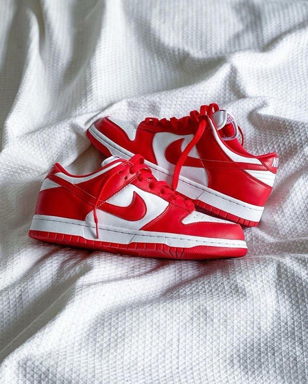 Nike SB Dunk Gym Red