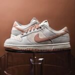 Nike SB Dunk Low Rise Men Shoes