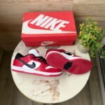 Nike SB Dunk Pro J Pack Chicago