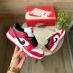 Nike SB Dunk Pro J Pack Chicago