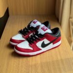 Nike SB Dunk Pro J Pack Chicago