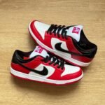 Nike SB Dunk Pro J Pack Chicago
